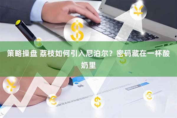 策略操盘 荔枝如何引入尼泊尔？密码藏在一杯酸奶里